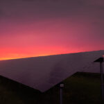 Ut a quam nec est maximus viverra